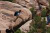 needlessection02canyonlandsnp_small.jpg