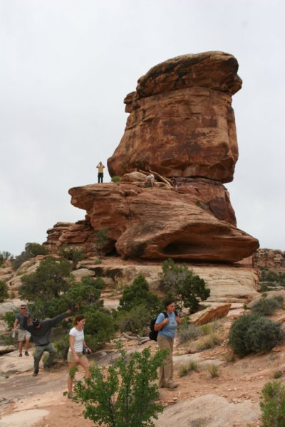 needlessection03canyonlandsnp.jpg