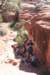 needlessection04canyonlandsnp_small.jpg