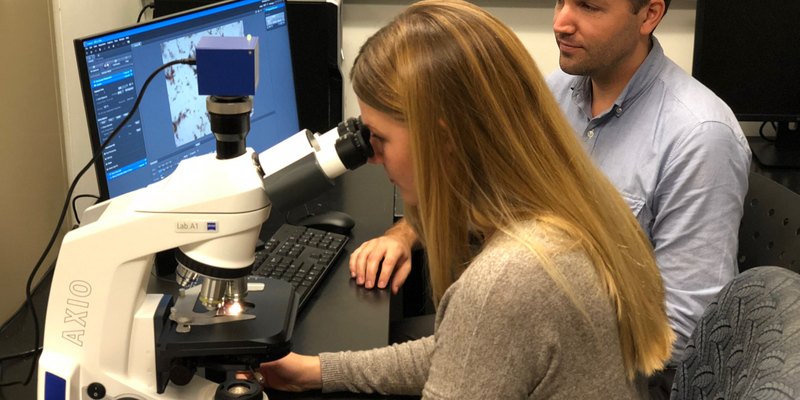 Pollen counting at a compound microscope with digital imaging