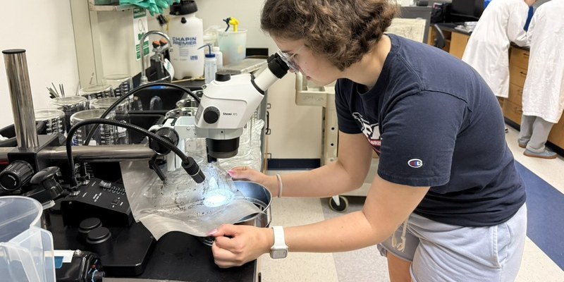 Identifying and picking microplastic particles from a filter