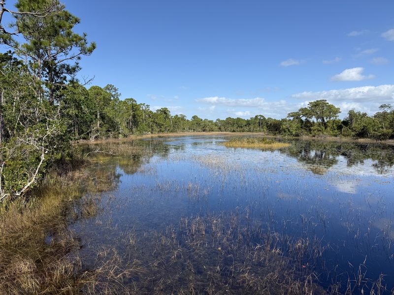 Spruce Bluff Preserve, Florida