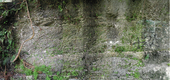 Ingraham park panoramic view